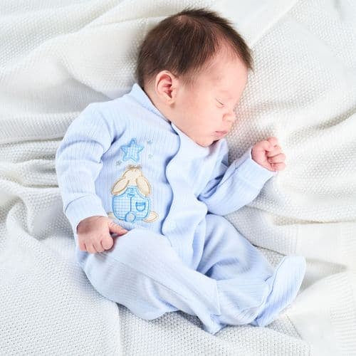 Dandelion Velour Boys Baby Grow (Prem 5-8lb)